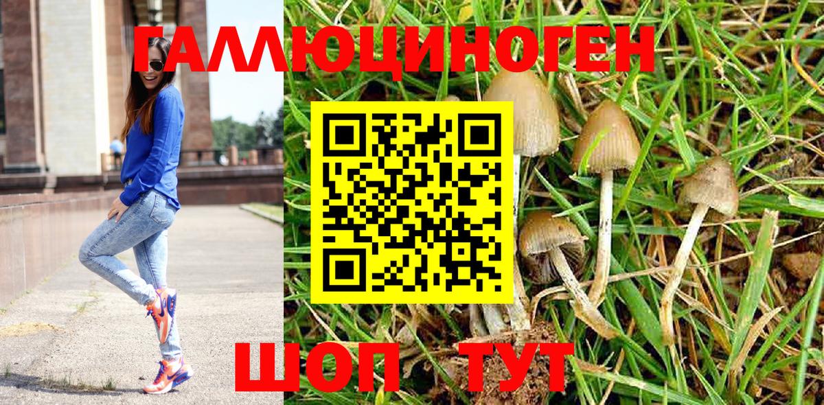 купить  цена  Вход с VPN  Рязань  Псилоцибиновые грибы Psilocybe 